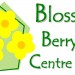 Blossom Berrykidz Centre