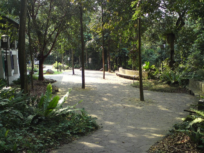 Bukit Timah Nature Reserve
