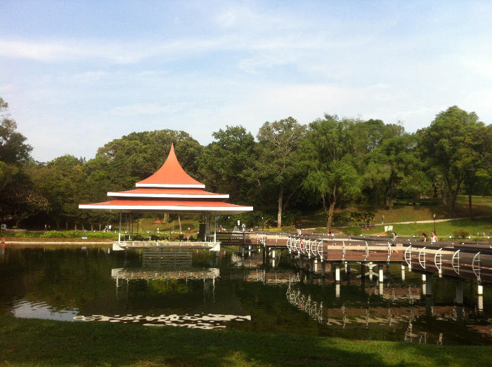 MacRitchie Reservoir Scenic Places in Singapore