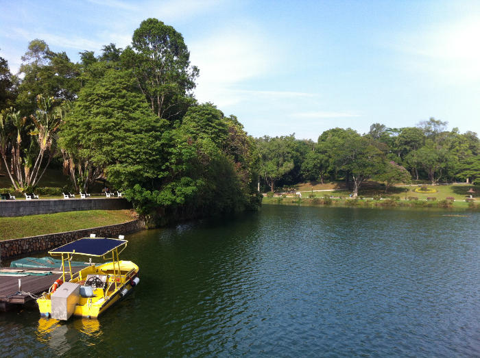 MacRitchie Reservoir The New Age Parents