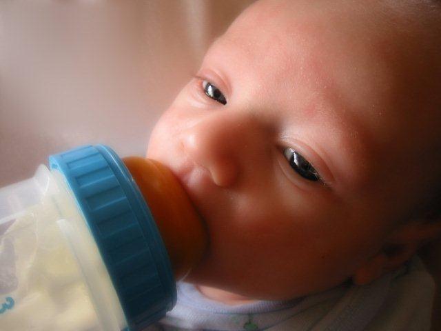 Bottle Feeding - Photo By GfxSally