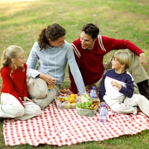 picnic_family