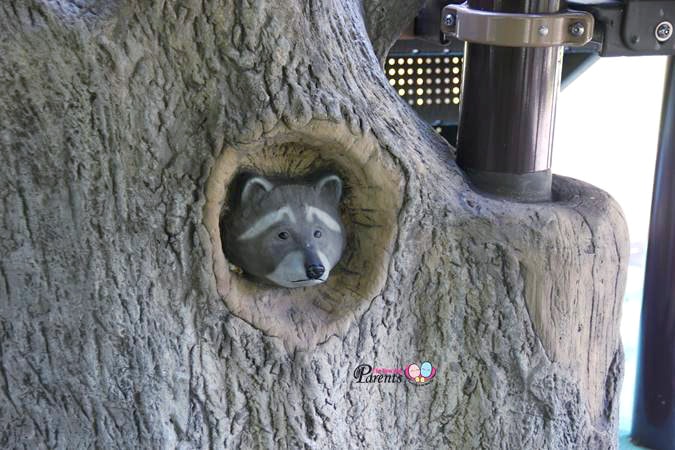 racoon playground rumah tinggi eco park