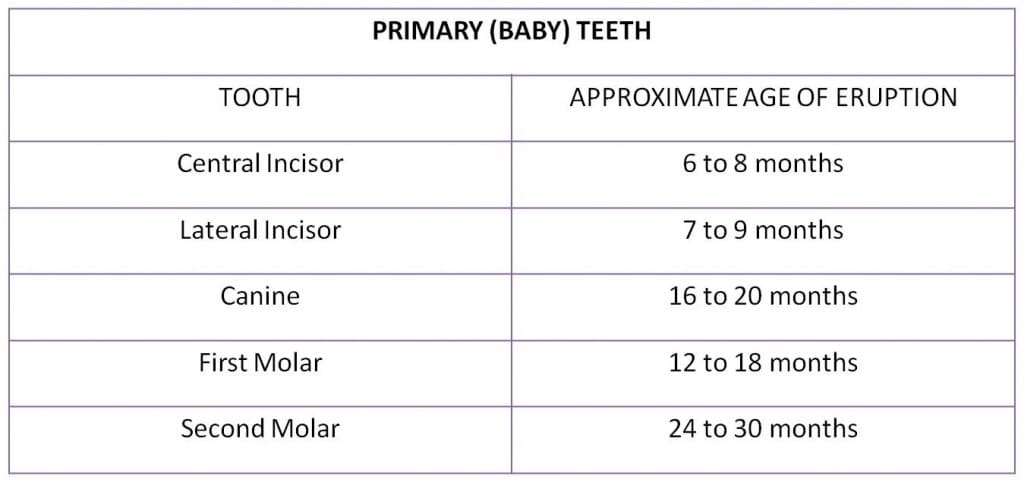 children dental development tracking table