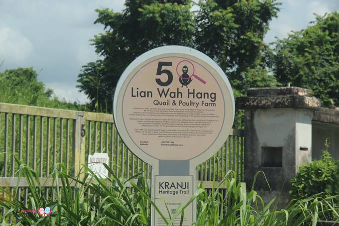 925C or Kranji Express at Kranji MRT Bus Stop