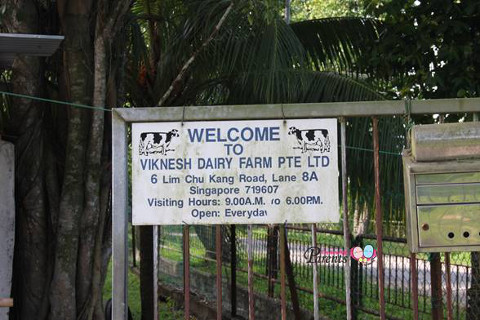 viknesh dairy farm opening hours