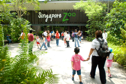 Singapore Zoo Entrance