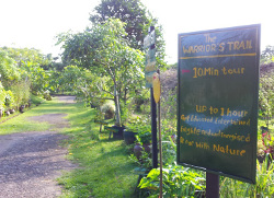 Bollywood Veggies Farm Singapore