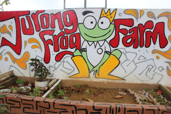 Frog Farm in Singapore