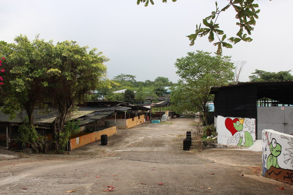 Jurong Frog Farm