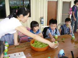 Singapore Aero-Green Aeroponics