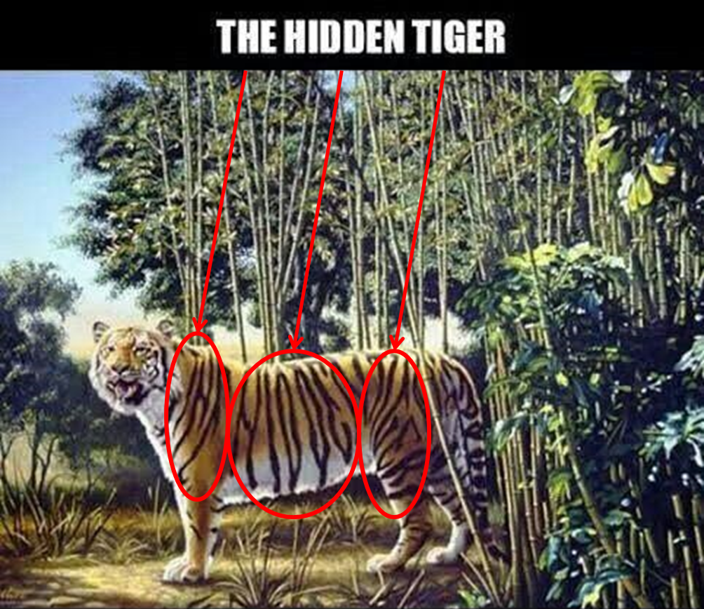 the hidden tiger answer