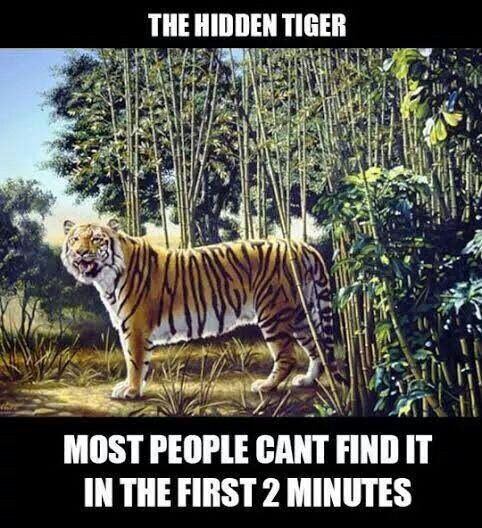 the hidden tiger game