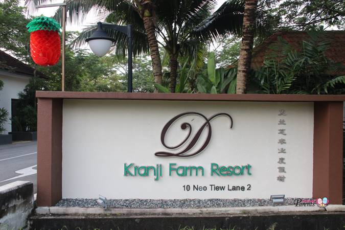 d kranji farm resort at neo tiew