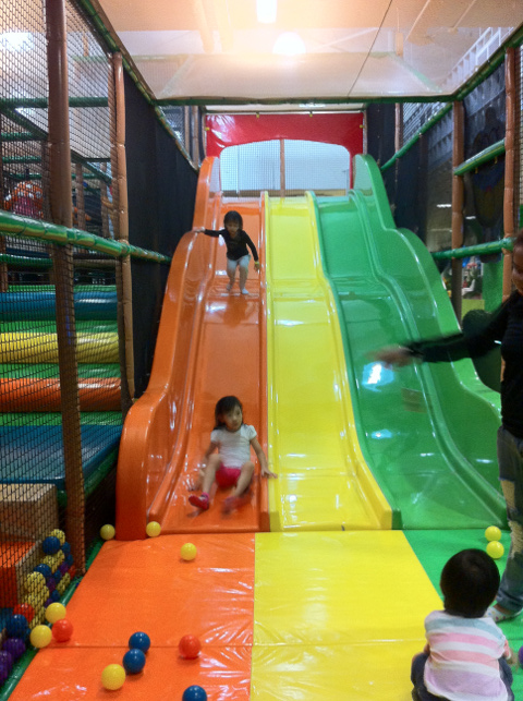 The Polliwogs Indoor Playgroud Slide