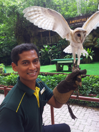 Rashid Jurong Bird Park Trainer, Photo by Wildlife Reserves Singapore