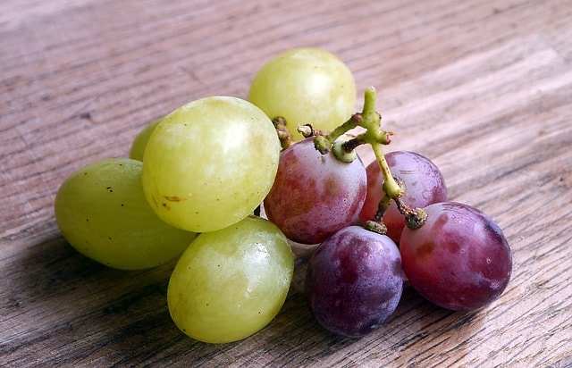 serving of grapes for toddlers