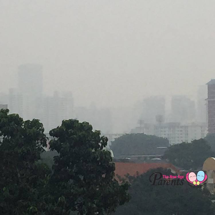 SG Haze 2015