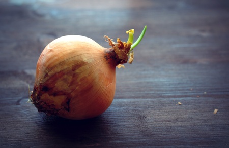 onion