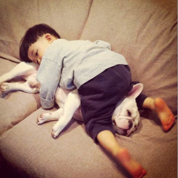 friendship between dog and toddler in japan