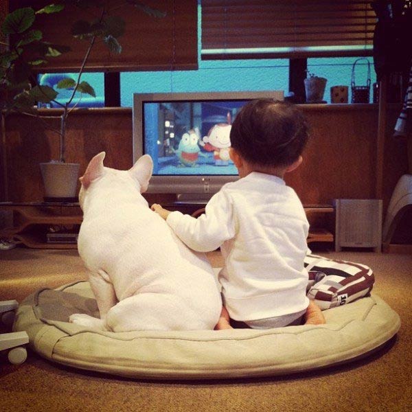 friendship between dog and toddler