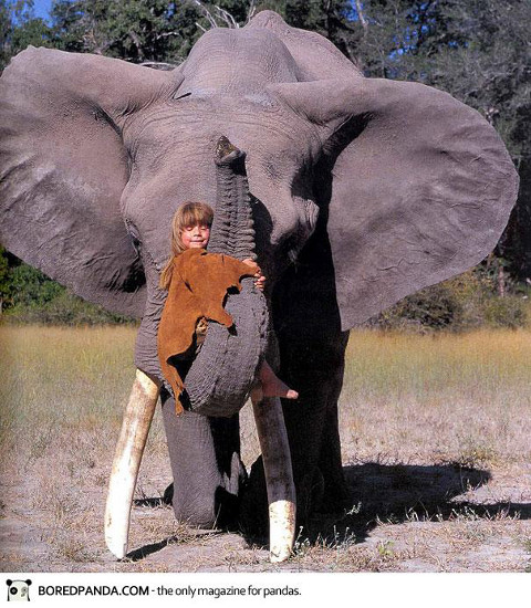 tippi the real jungle girl