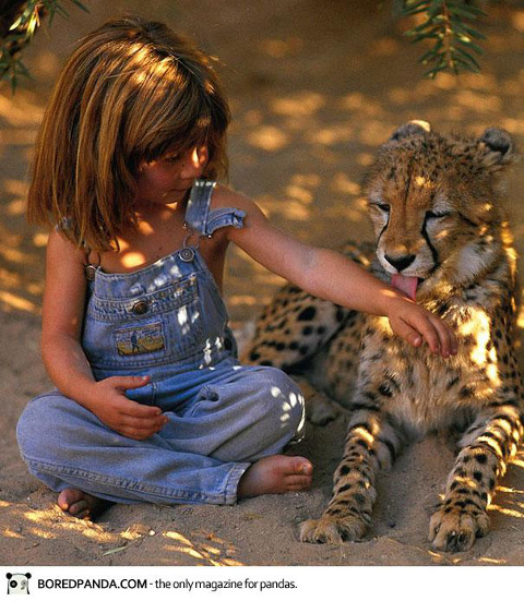 tippi with a cheetah