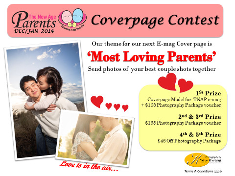 TNAP dec - jan 2014 coverpage contest