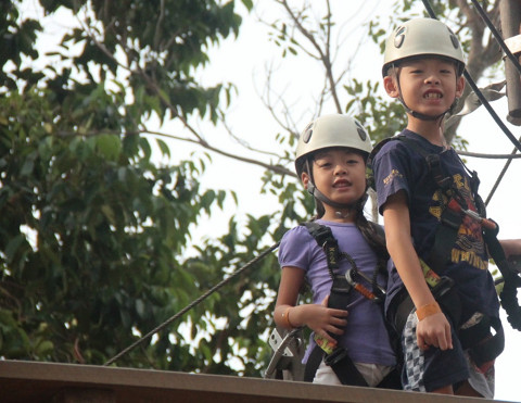 Ash babies at Forest Adventure