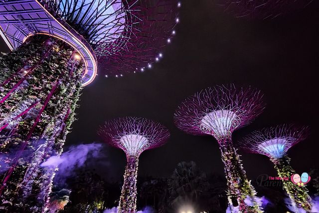 Garden Rhapsody light and sound show