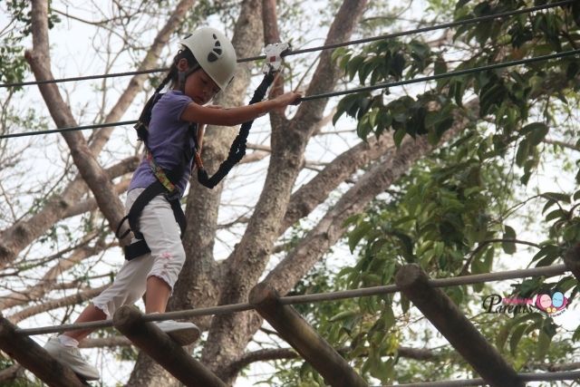 What can children learn Kids Obstacle Course Forest Adventure