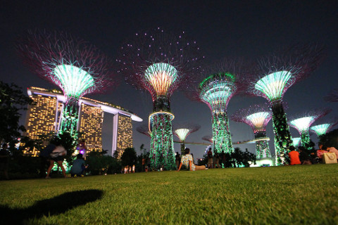 Gardens by the Bay - Peter Ong
