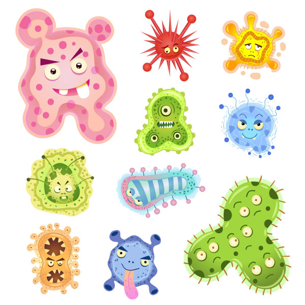 Common Germs And Bacteria All Parents Should Know