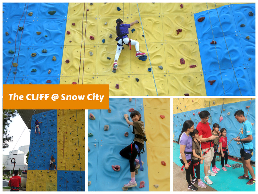 The Cliff @ Snow City