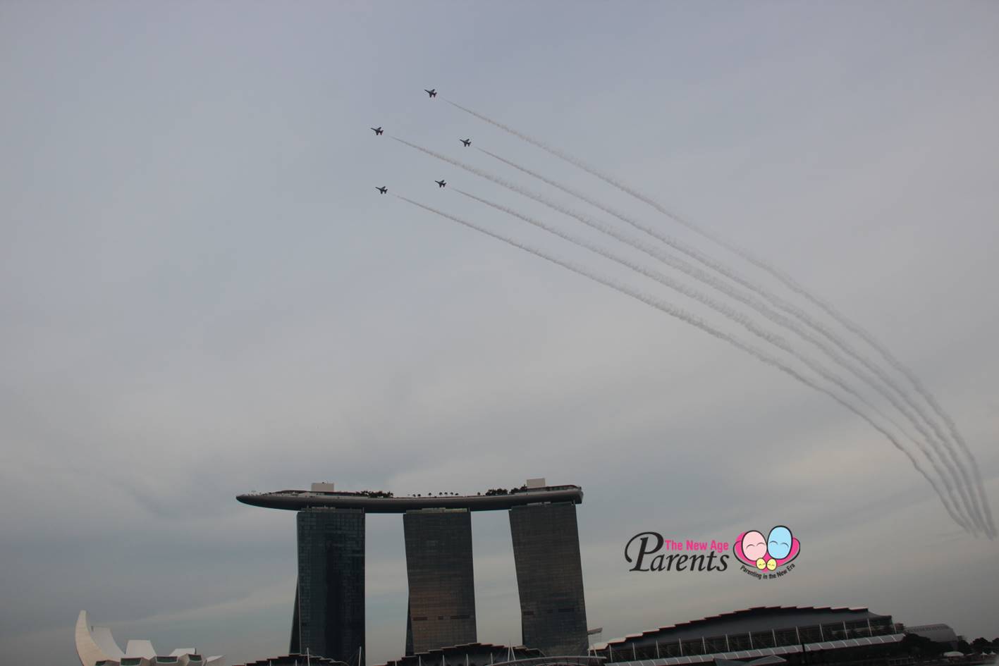 SG50 NDP 2015 BlackKnights