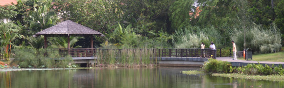 Singapore Botanic Gardens