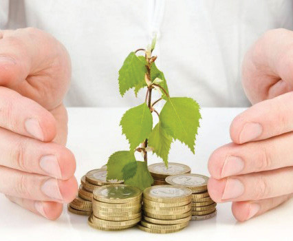 Investment tips to grow your money