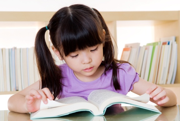 Literacy Development in Children - how to raise a wholesome preschooler