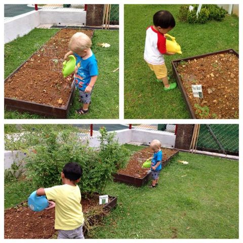 Red SchoolHouse Gardening Activity