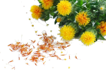 Safflower Herbs that can treat Hair Problems