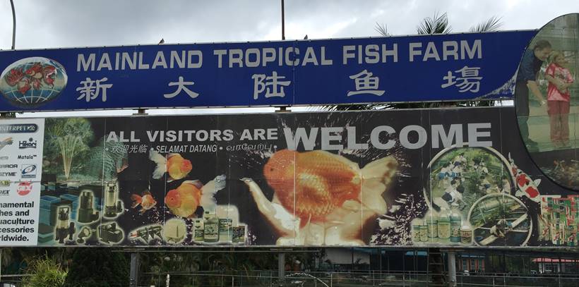 mainland tropical fish farm entrance