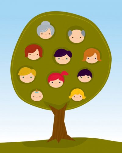 family tree