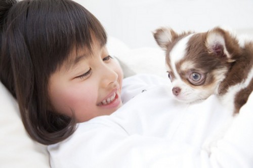 Little girl with pet