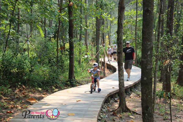 singapore coney island mangrove boardwalk