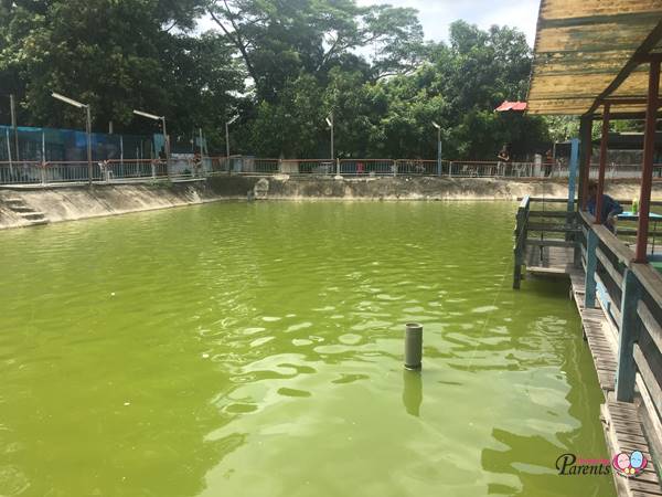 pond fishing at Hausmann Marketing Aquarium Singapore