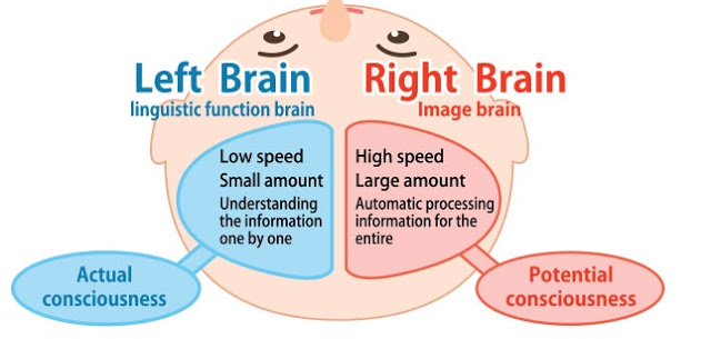 Left right brain