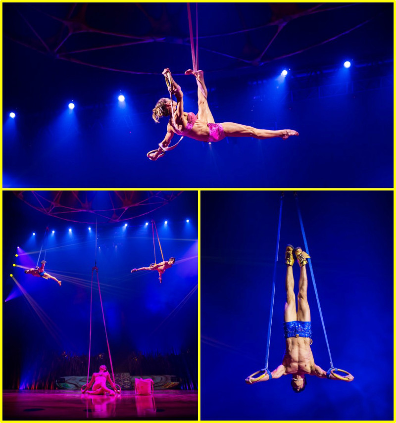 Circus MBS Singapore