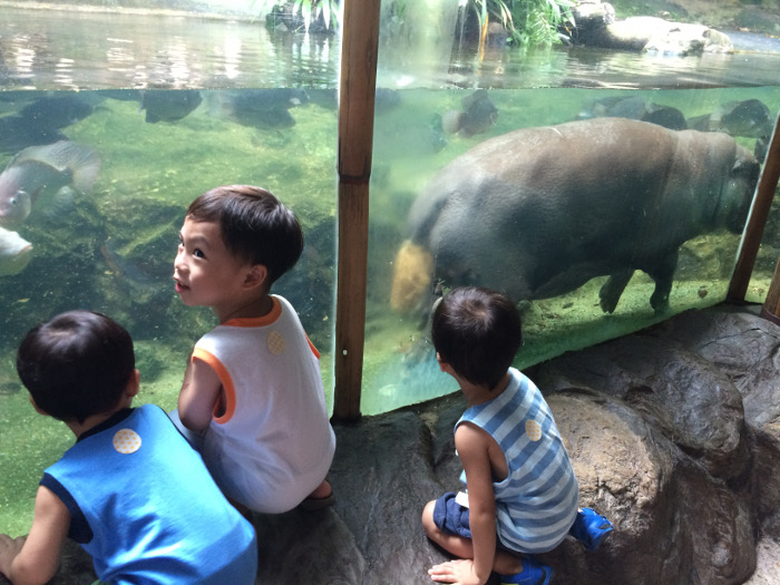 Singapore zoo kids activities
