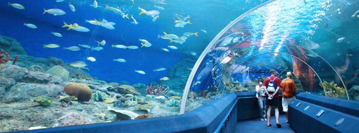Underwater World Singapore