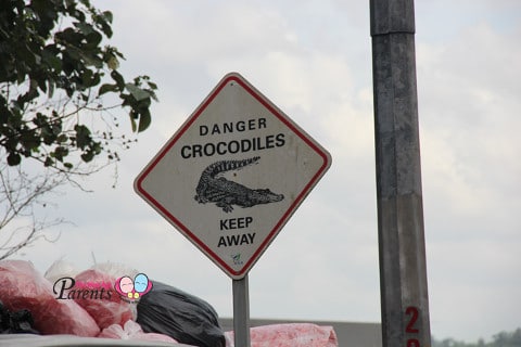 beware of crocodiles at lim chu kang jetty